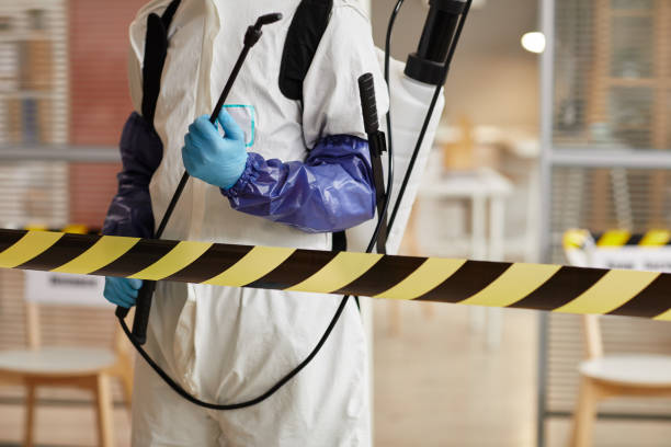 Professional Sewage Cleanup technician working in Alpine, UT